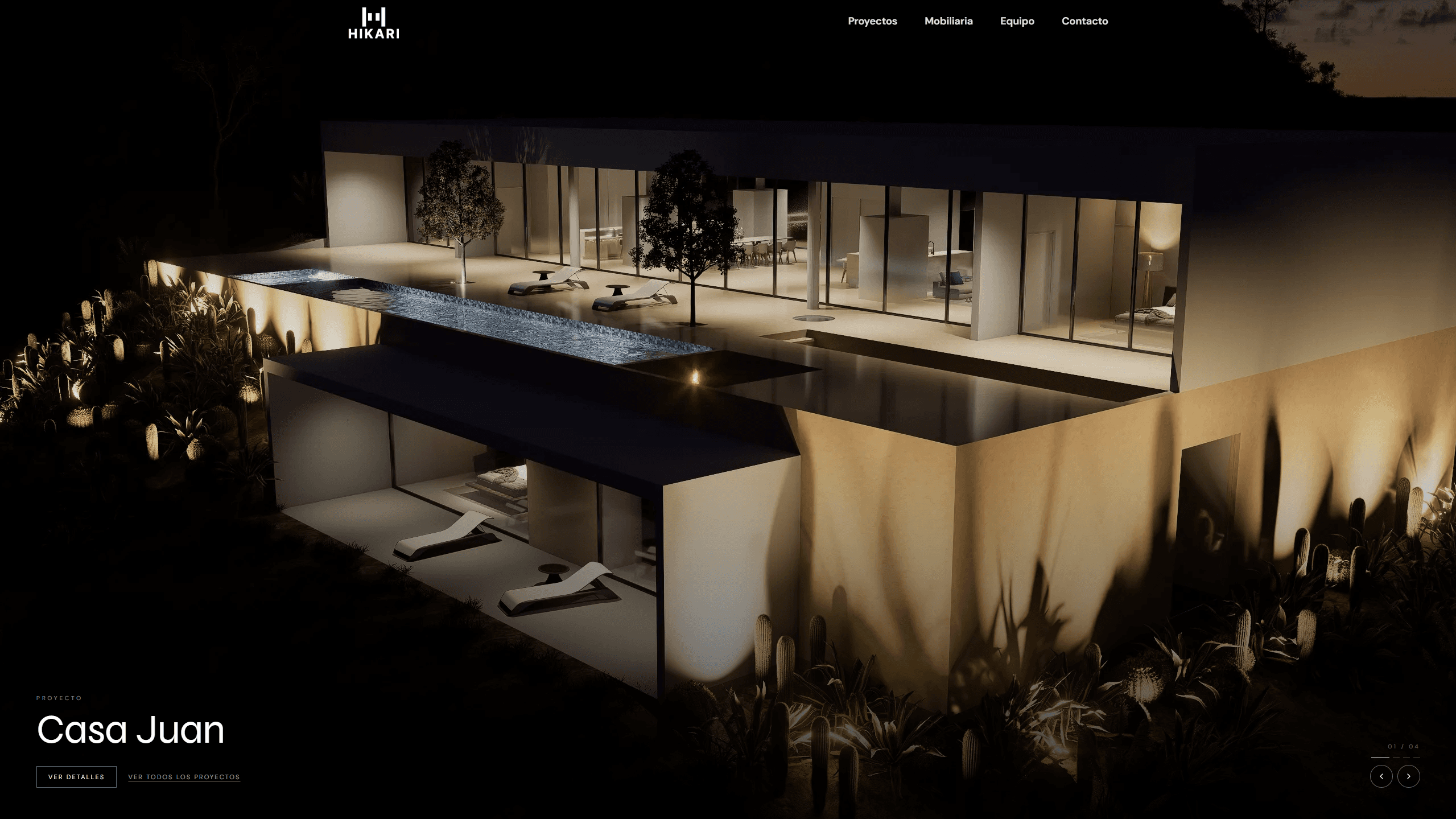 Web development project