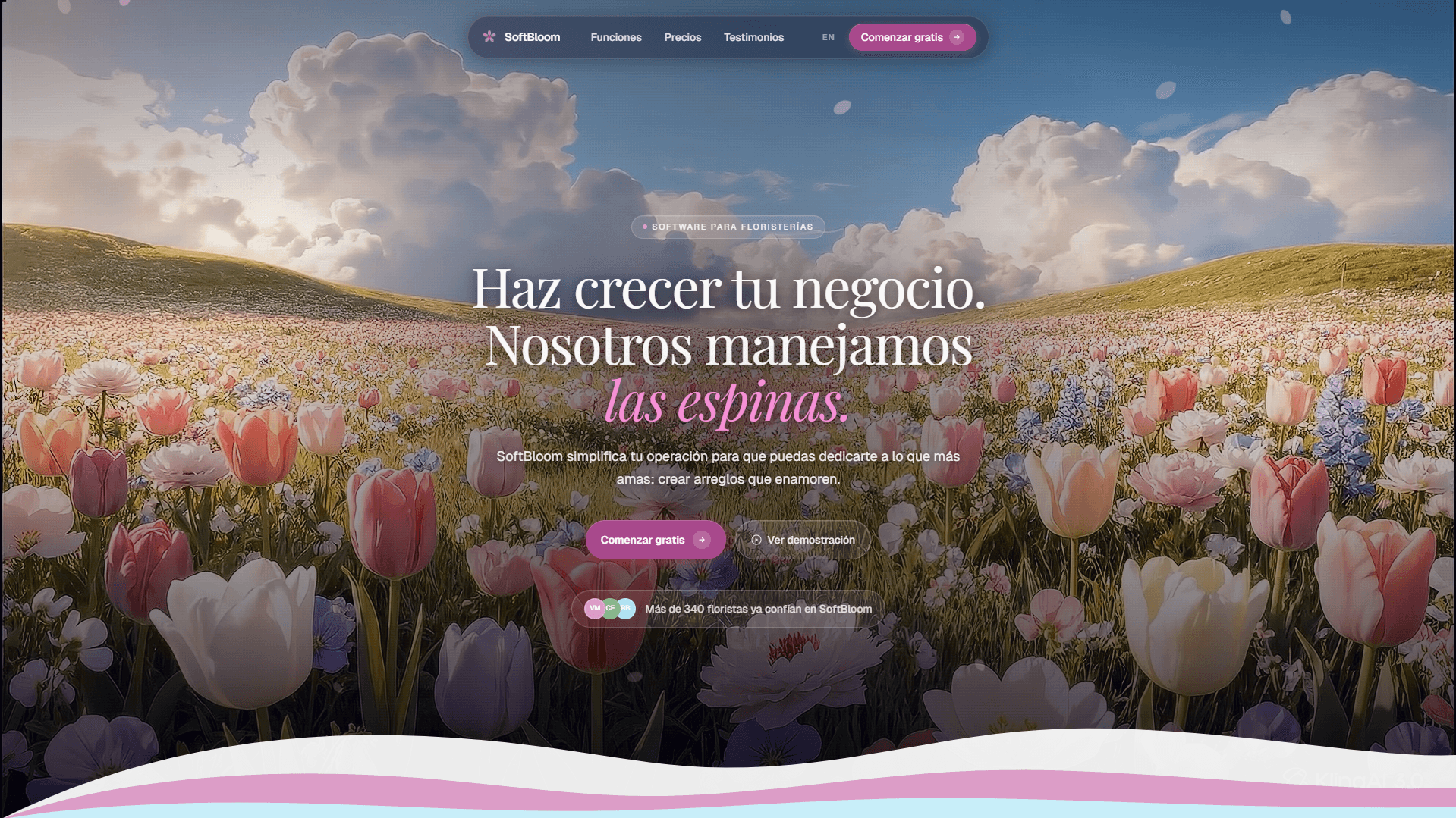 SaaS platform development project